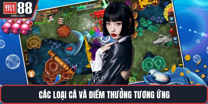 Các loại cá và điểm thưởng tương ứng