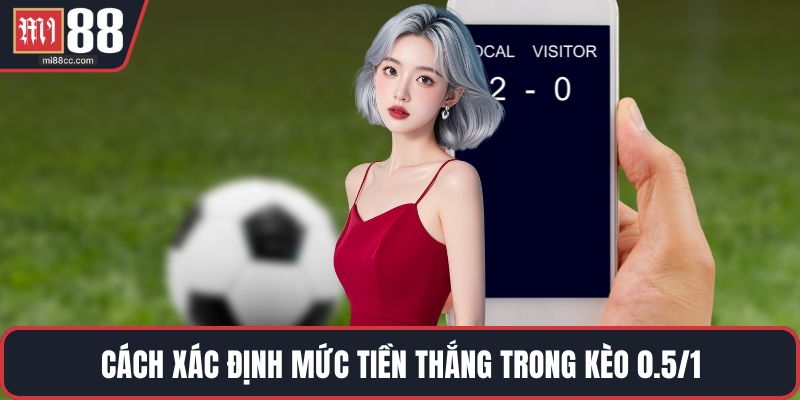 Cách xác định mức tiền thắng trong kèo 0.5/1