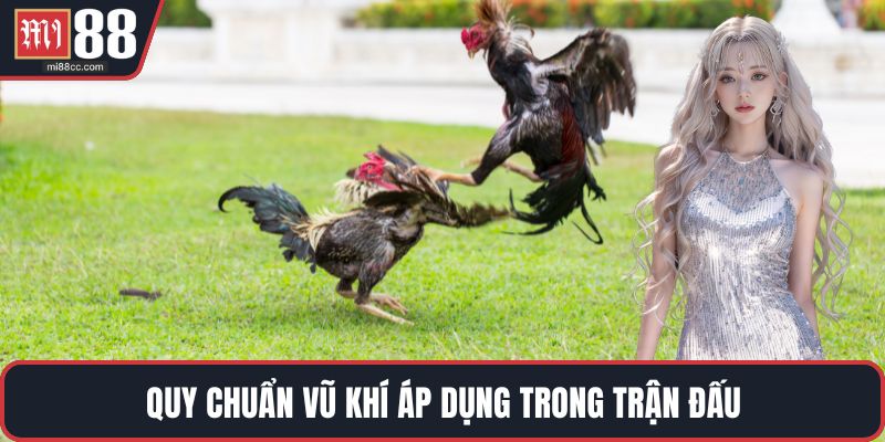 Quy chuẩn vũ khí áp dụng trong trận đấu