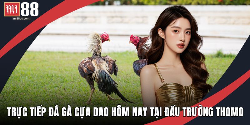 Trực tiếp đá gà cựa dao hôm nay